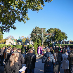 Erzdiözese Wien/Schönlaub